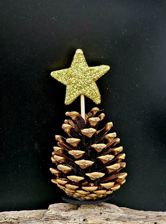 Kogle juletræ