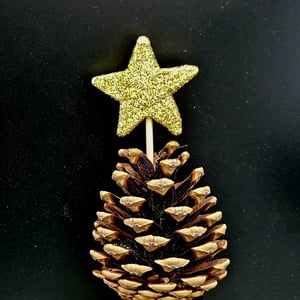 Kogle juletræ – produktbillede