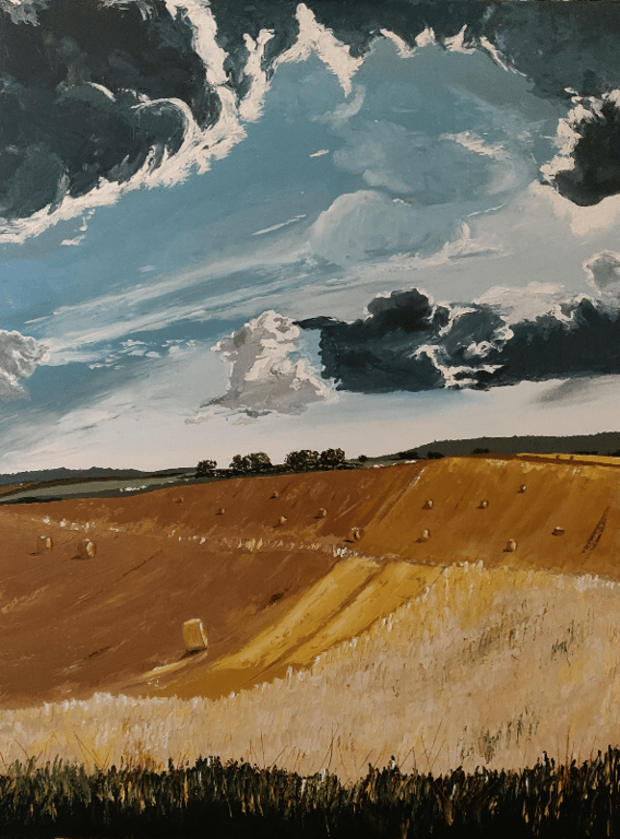 Danmark - Halmballer og sommer 100*75