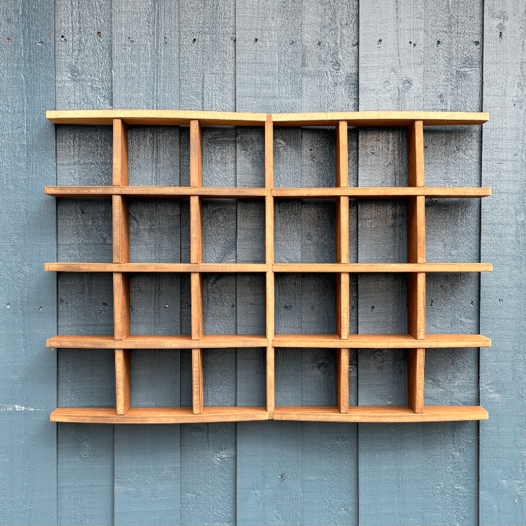 Tortuga mellemstykke horisontal