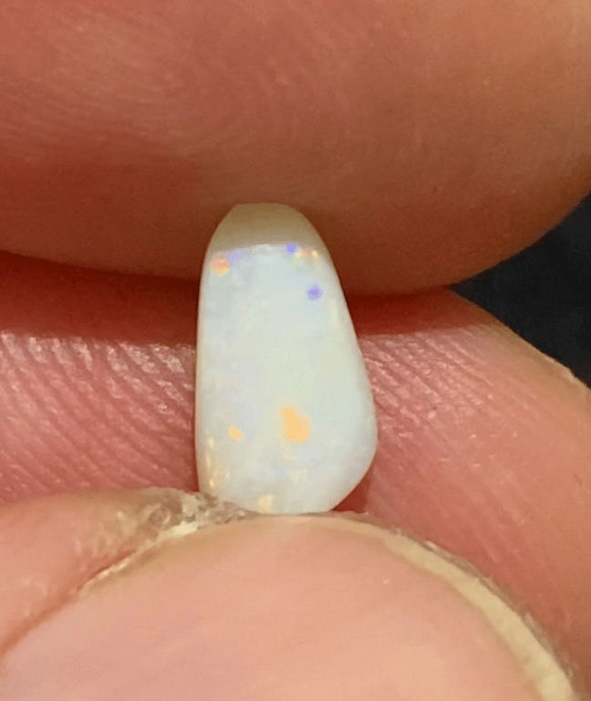 Aussie billede 6