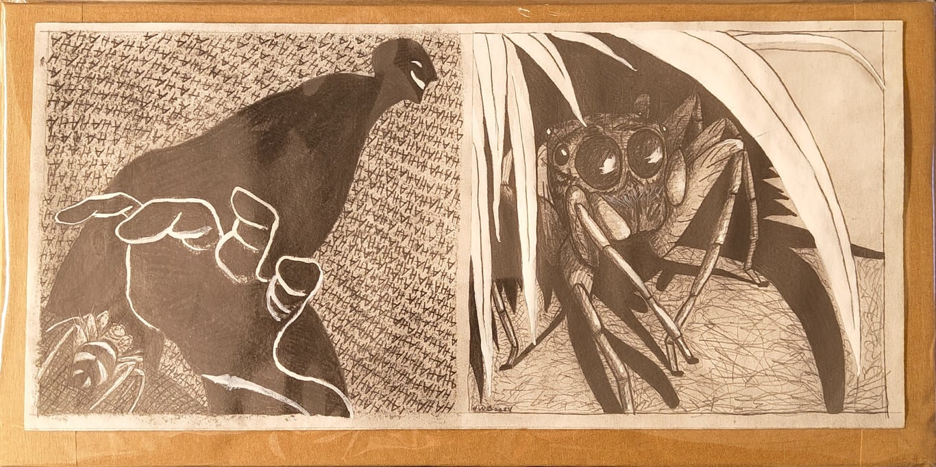 Jumping Spider original p11
