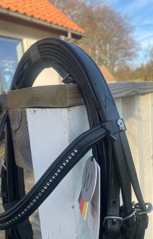 Waldhausen/ X-Line Kandar Jerez (2)