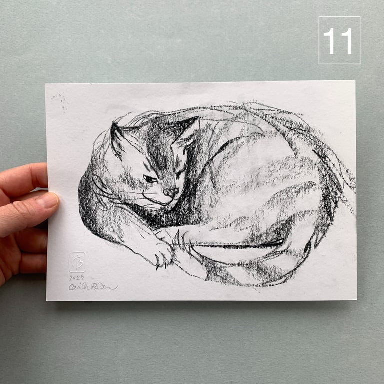 Katteskitser billede 8