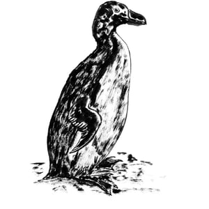 Gejrfugl – produktbillede