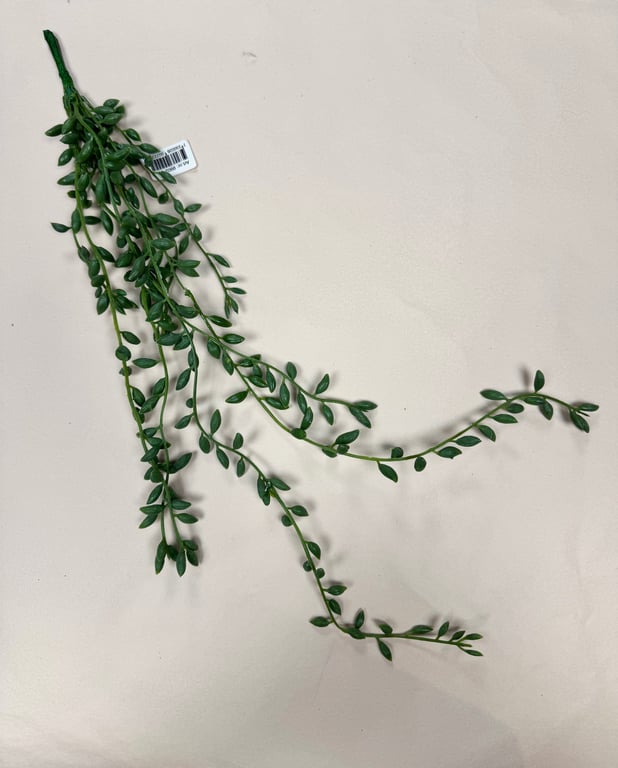 Grøn hænge ranke  billede 3