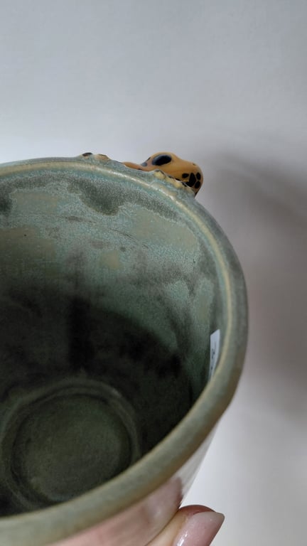 giftfrø kop billede 4