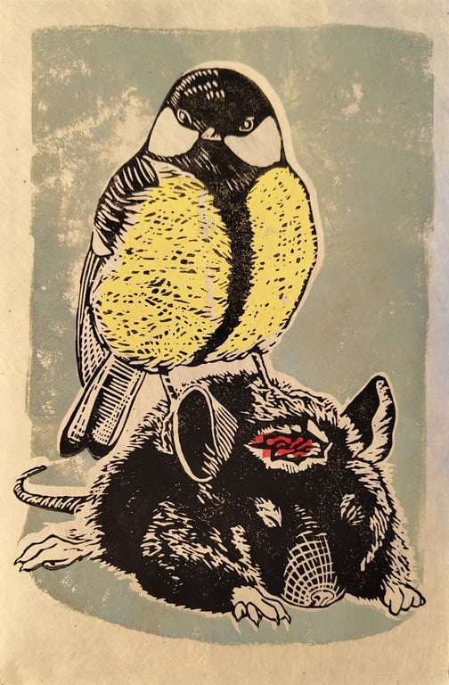 Great Tit III billede 2