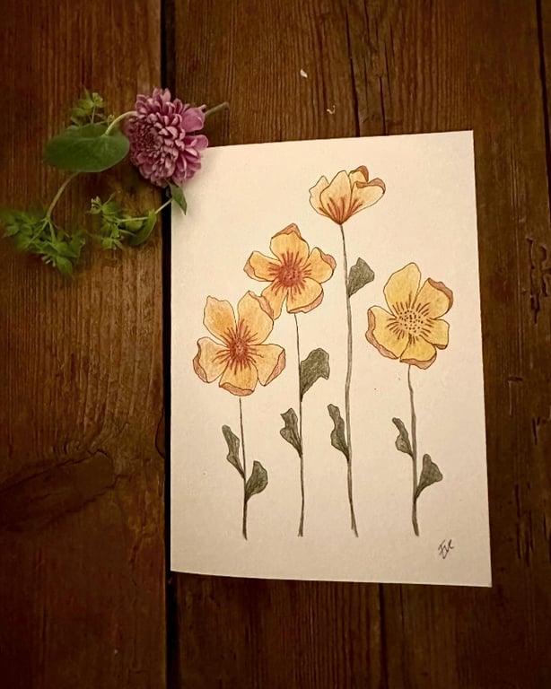 Pakke 4 - Private - 4 kort, 2 typer - A6 Telegrammer