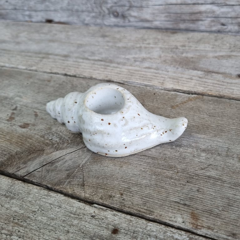 Lysestage konkylie  billede 2