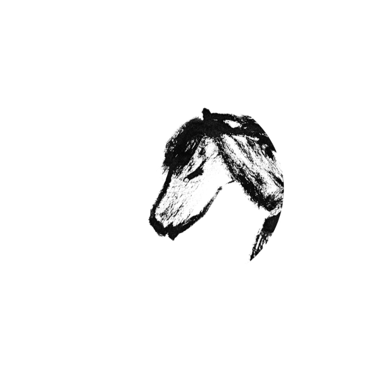 HEST &amp; FØL billede 7