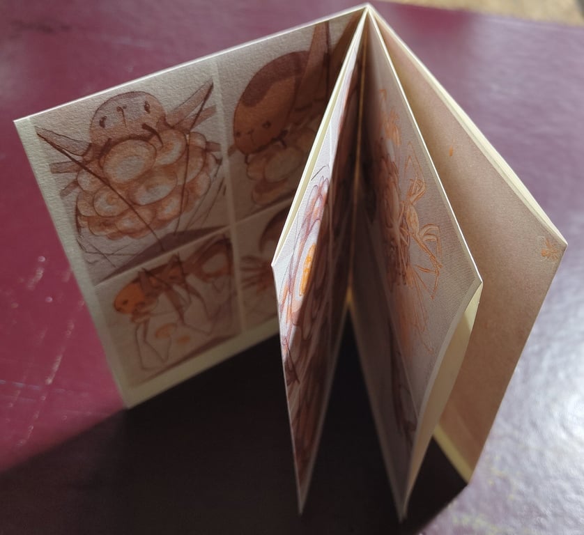 Pholcus Phalangoides (zine) billede 4