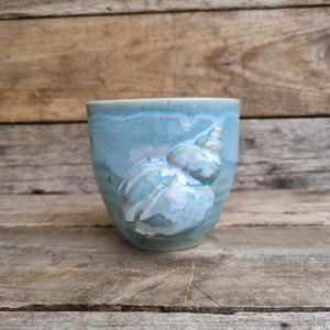 Konkylie kop – produktbillede