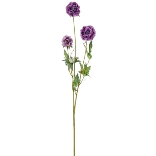 Scabiosa Lilla 75 cm
