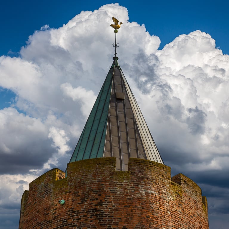 Guldgåsen på toppen af Gåsetårnet i Vordingborg
