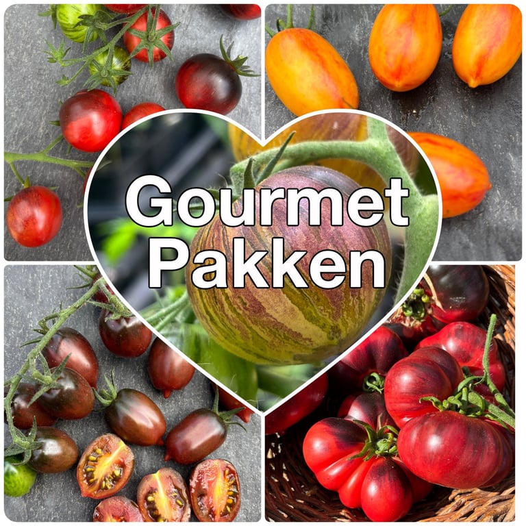 Billede af forskellige eksotiske tomater i forskellige farver og former, arrangeret i et collageformat med teksten "Gourmet Pakken" i midten inden i et hjerte.