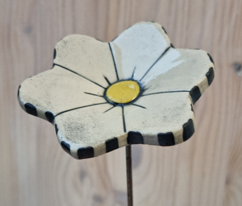 Haveblomst billede 2