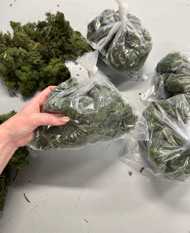 Rensdyr mos  billede 3