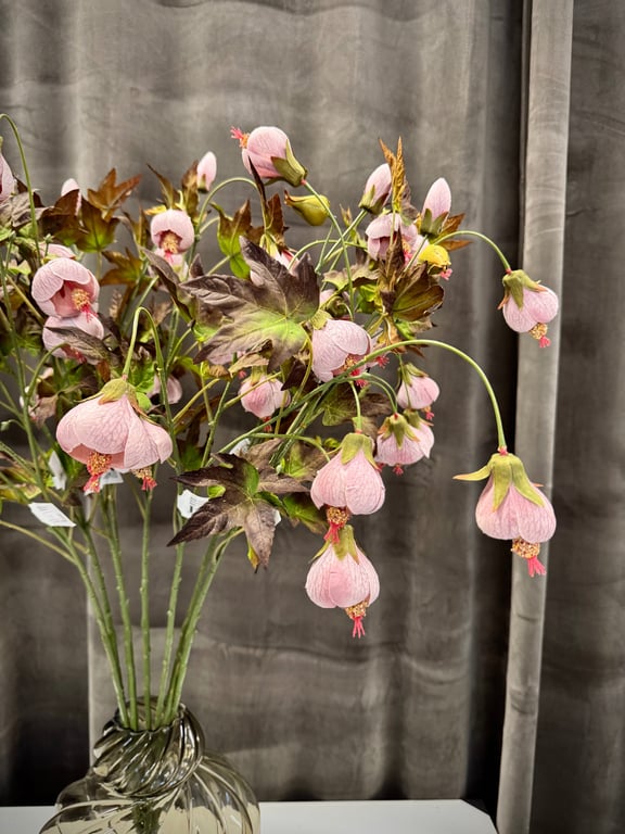 Klokkeblomst billede 2