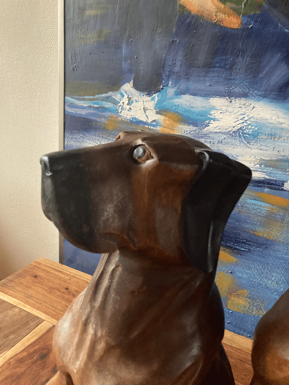 Skønne vagthunde (5)