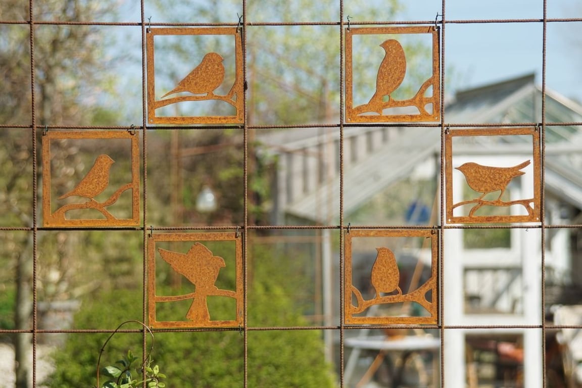 Rustne metalfugle i firkantede rammer hængende på et gitter med en have og et drivhus i baggrunden.