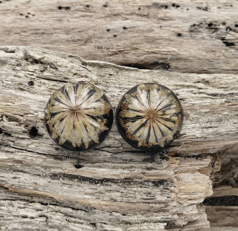 Stjerneskærm ørestikker.