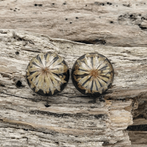 Stjerneskærm ørestikker. – produktbillede