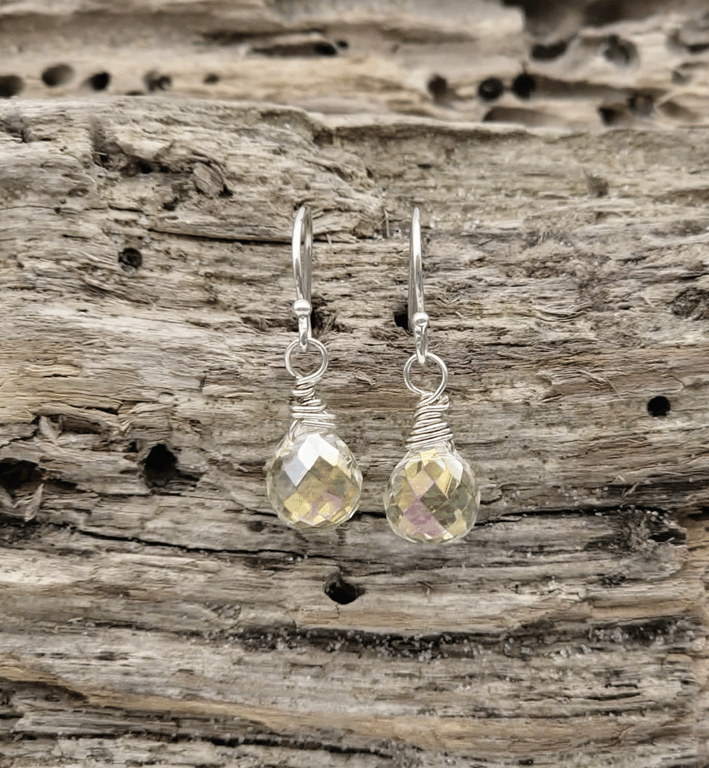 Ørekroge med rhinsten 