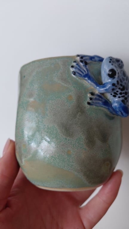 giftfrø kop billede 6