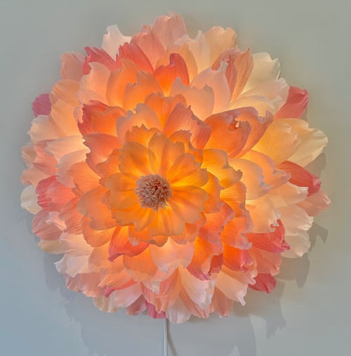 Lyskilde formet som en stor, blomst med lag af orange, lyserøde og hvide kronblade, oplyst indefra og monteret på en væg. (1)