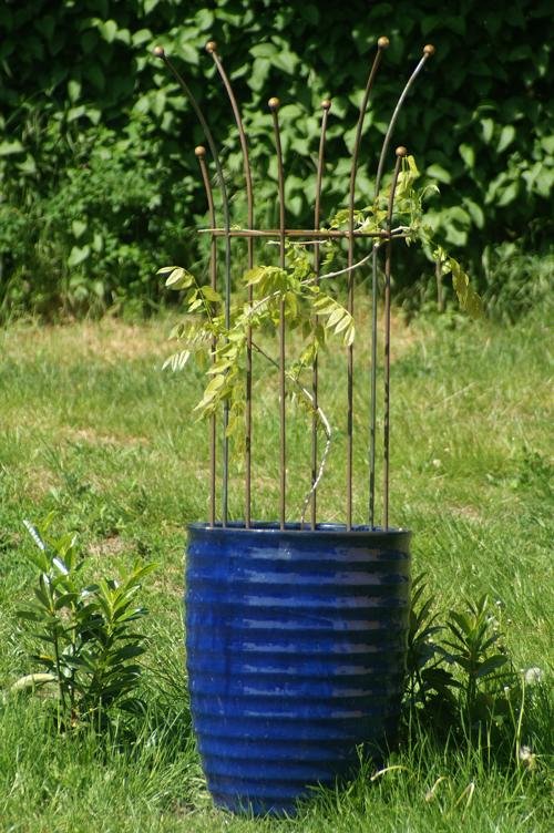 Espalier med kuglespids