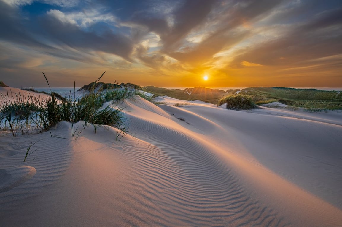 Klitterne i Gammel Skagen lige før solnedgang en smuk sommeraften_2