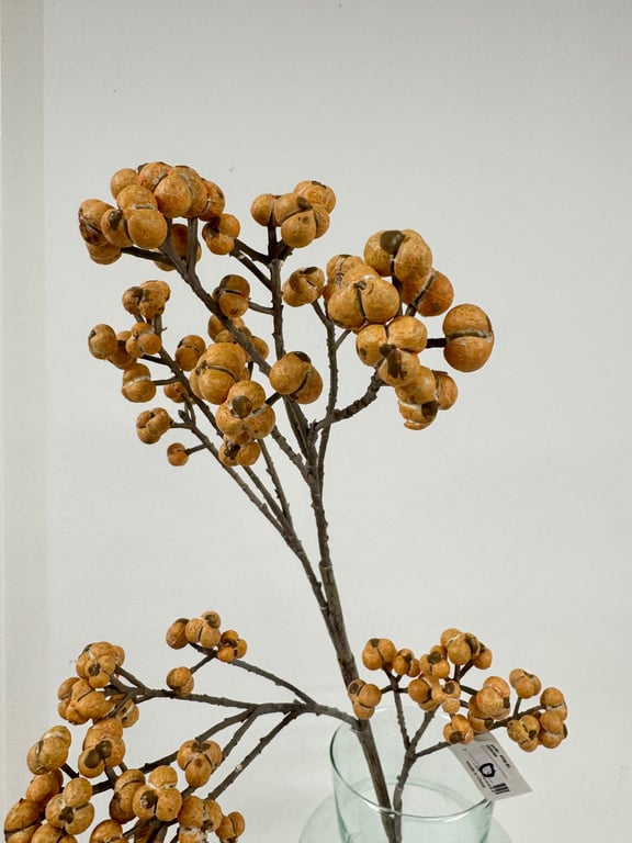 Bær gren orange  billede 2