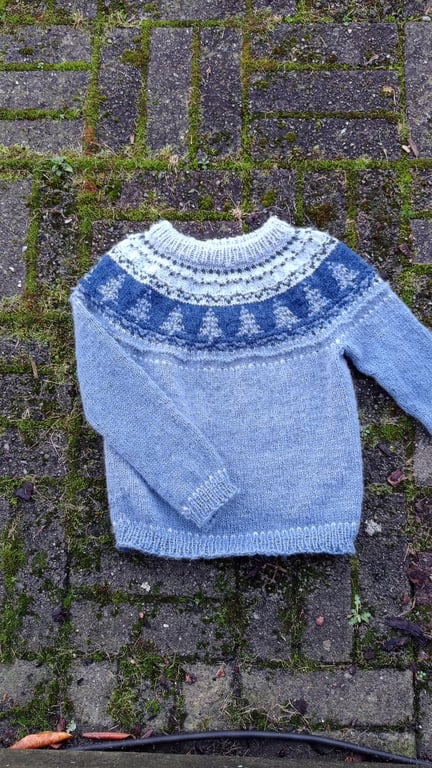 Fluffy Winterday Voksne billede 2