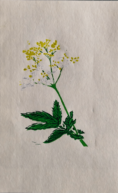 Magical Mabon: lady of the meadow
