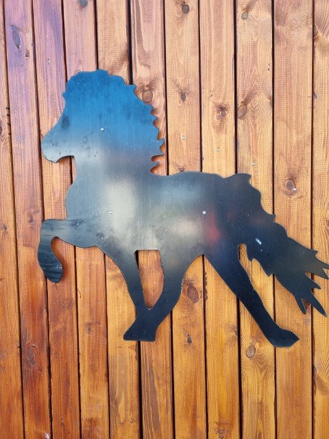 Stort vægmotiv - Islænder