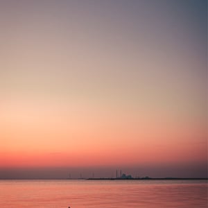 Svaner i silhuet mod Avedøreværket. – produktbillede