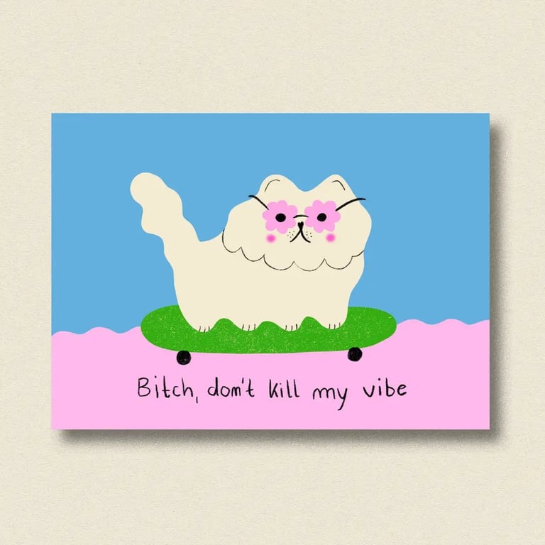 Bitch, dont kill my vibe, Kort