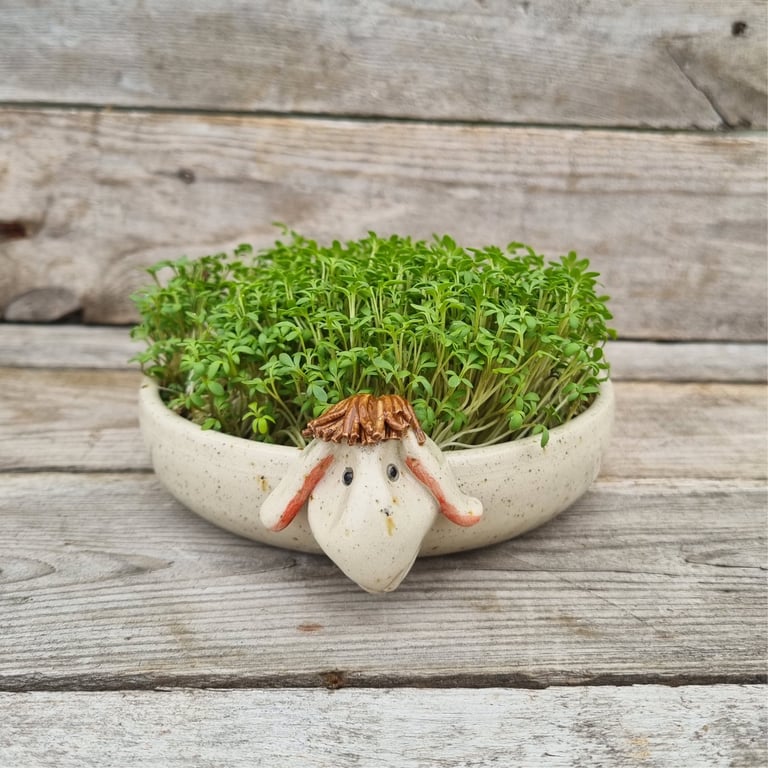 Karseskål "fårnemt" lys gul