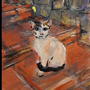 Kat i istanbul, akryl på papir, 14,8x20 ved Galathea tårnet – produktbillede