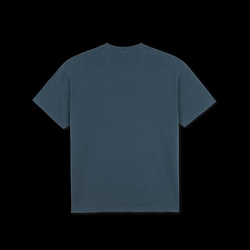 Polar Skate Co. Tee, Graph, Grey Blue, Str. S, M (2)