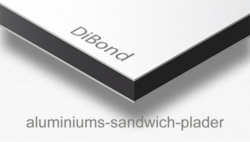 Mellem Himmel og Hav: Et Øjeblik med Havørnen billede 4