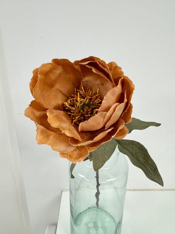 Pæon rust billede 2