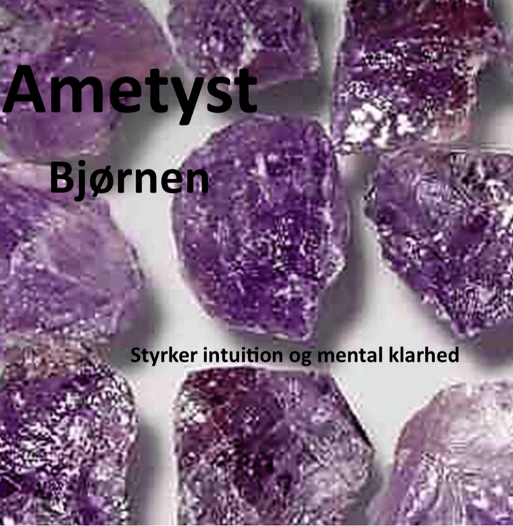 Kraftstenene i Medicinhjulet billede 3