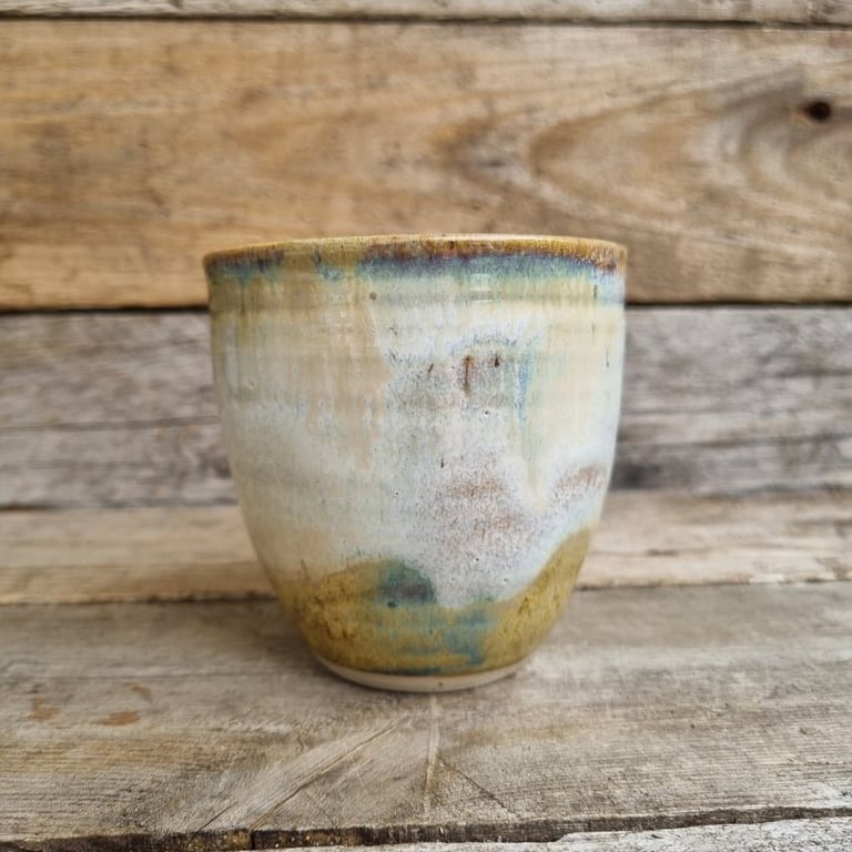 Konkylie kop billede 2