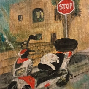 Gozo kat  – produktbillede