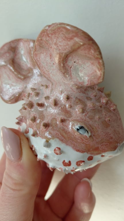 kuglefisk/pufferfish  billede 4