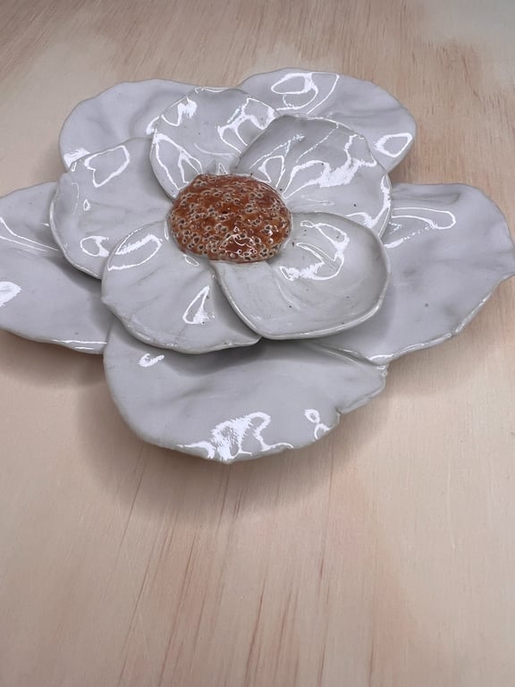 Vægblomst i hvid billede 3