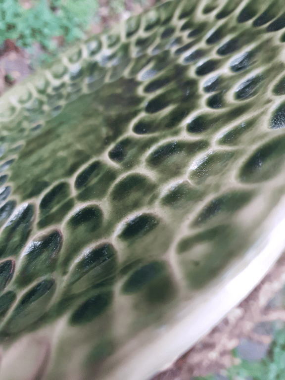 Spisetallerken/fad mosgrøn billede 3