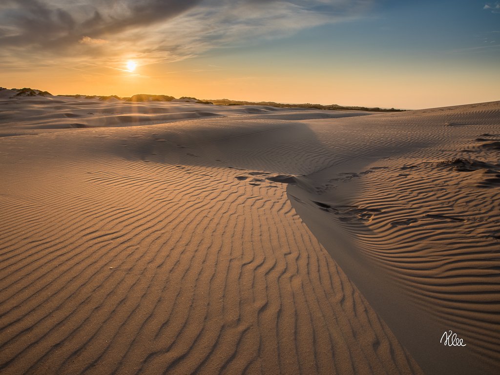 AFTENLYS LIGE FØR SOLNEDGANG PÅ RÅBJERG MILE I SKAGEN EN SMUK SOMMERAFTEN